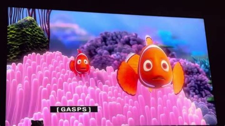 What killed Nemo's mom?
